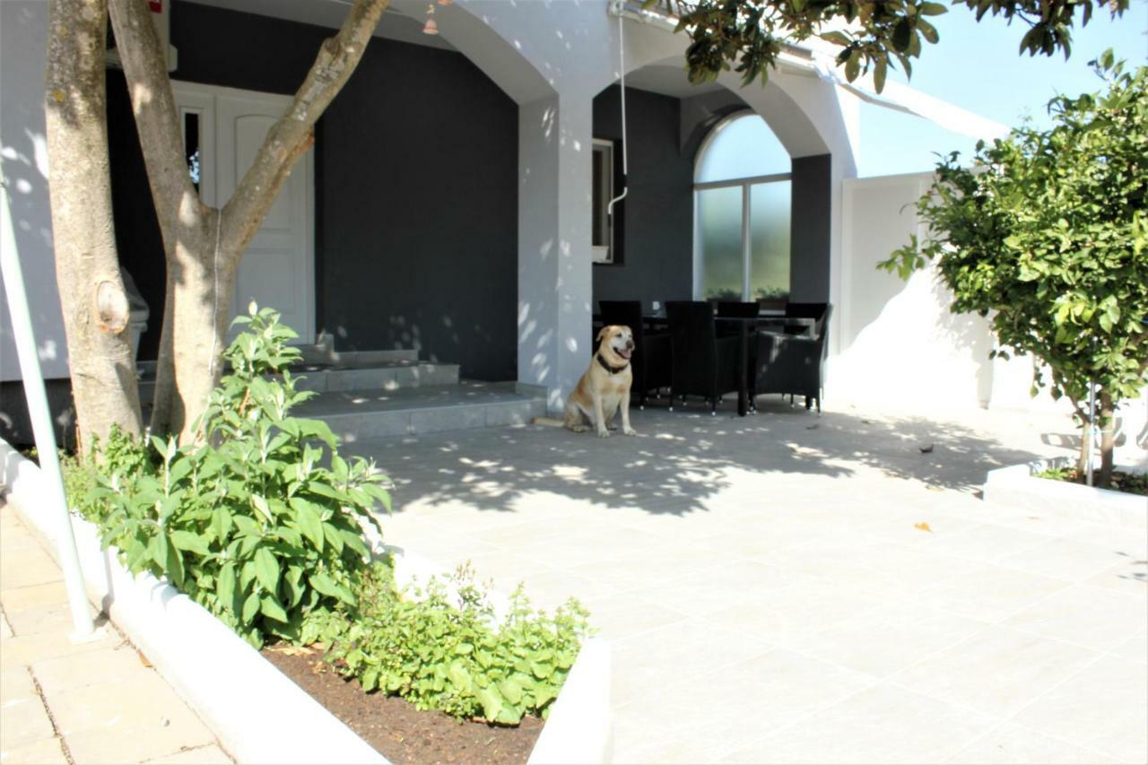 Holiday House Zaton Nin Bagian luar foto